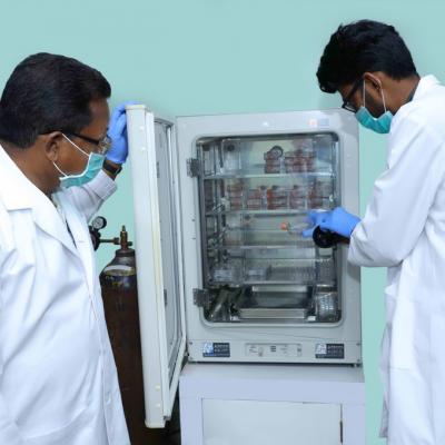 Cell And Tissue Culture Facilities